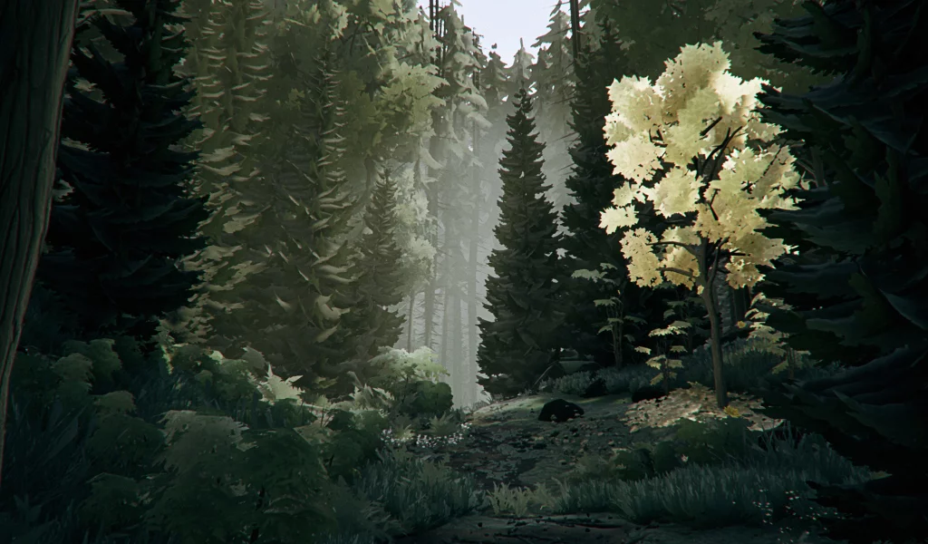drawing, forest, nature, trees