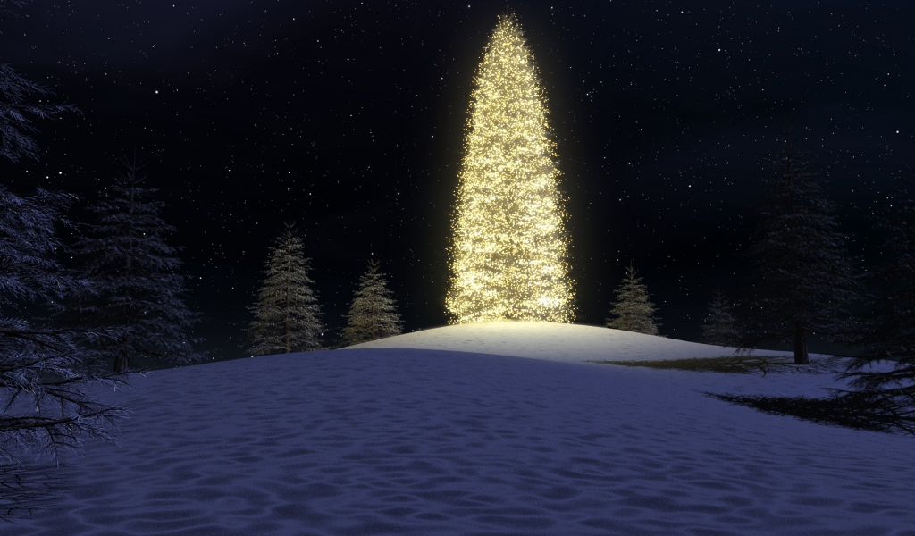 christmas tree, lights, forest, night