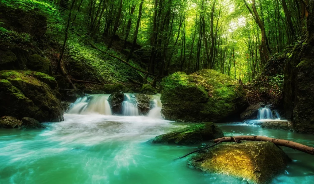 landscape, nature, waterfall, forest, rock, sunlight, green, water, trees, moss