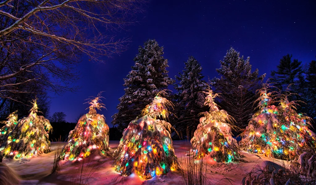winter, new year, light, christmas tree, snow
