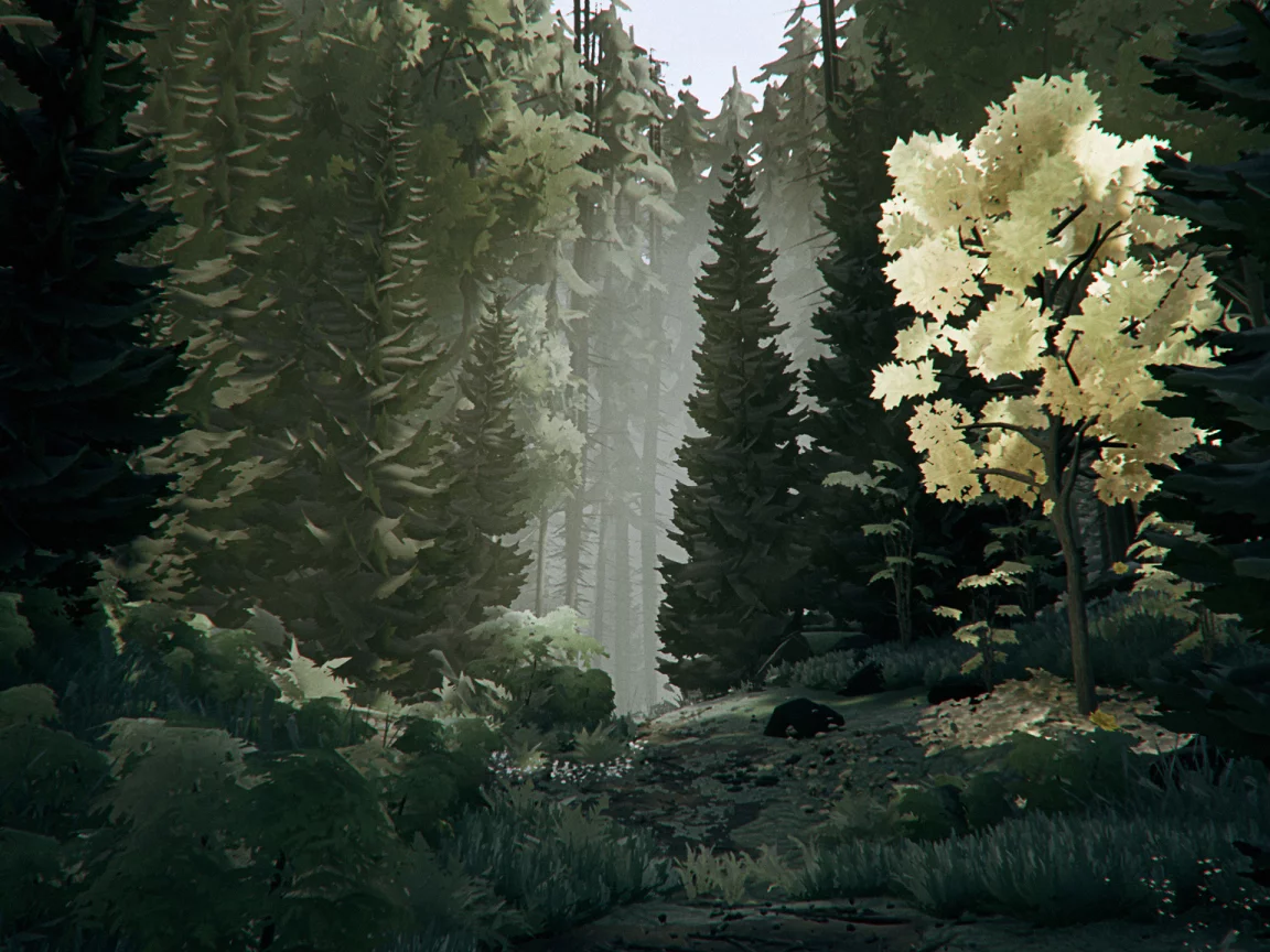 drawing, forest, nature, trees