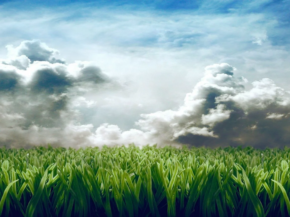 clouds, grass, digital art
