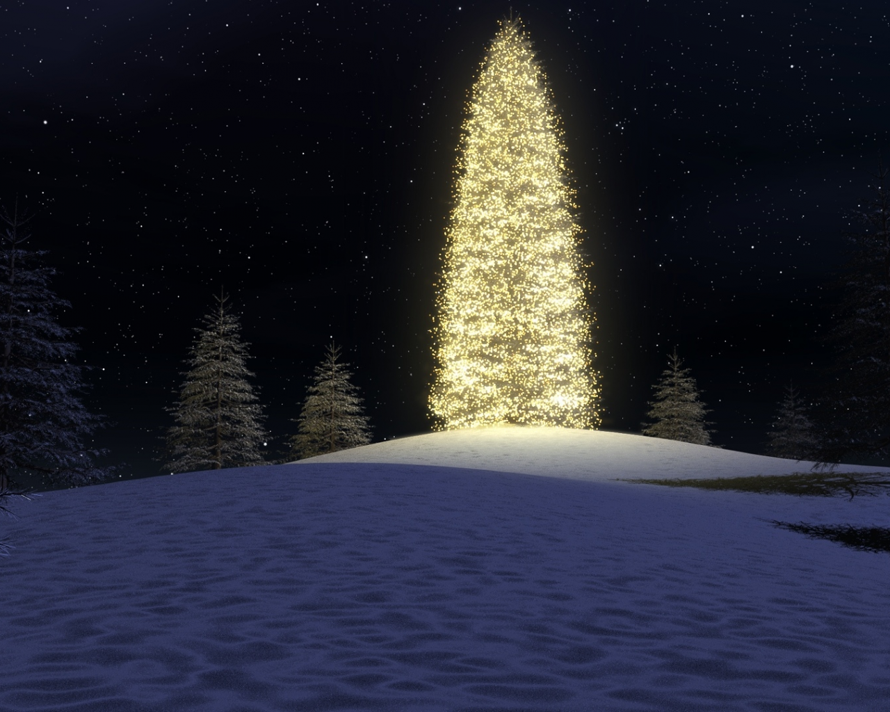 christmas tree, lights, forest, night
