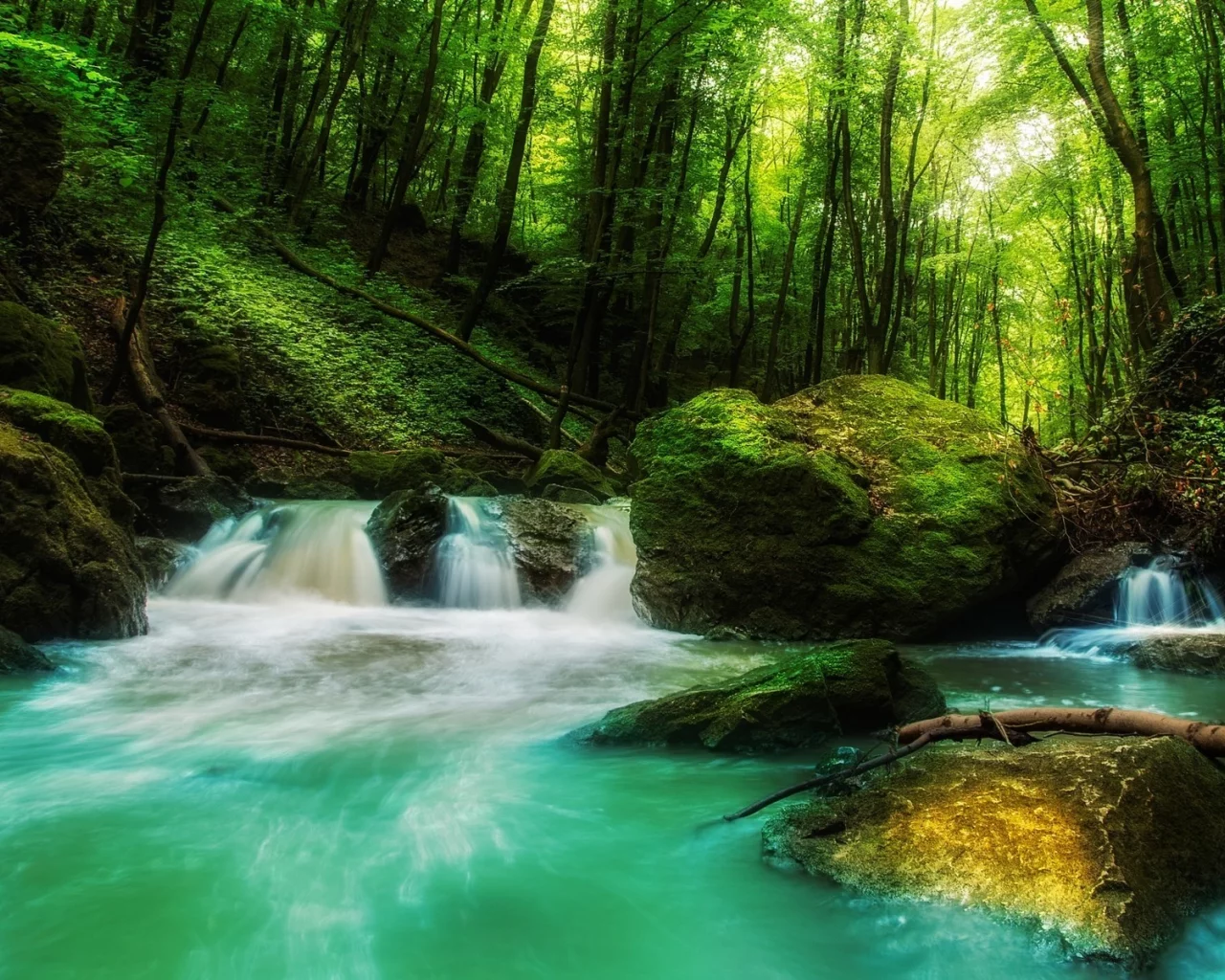 landscape, nature, waterfall, forest, rock, sunlight, green, water, trees, moss