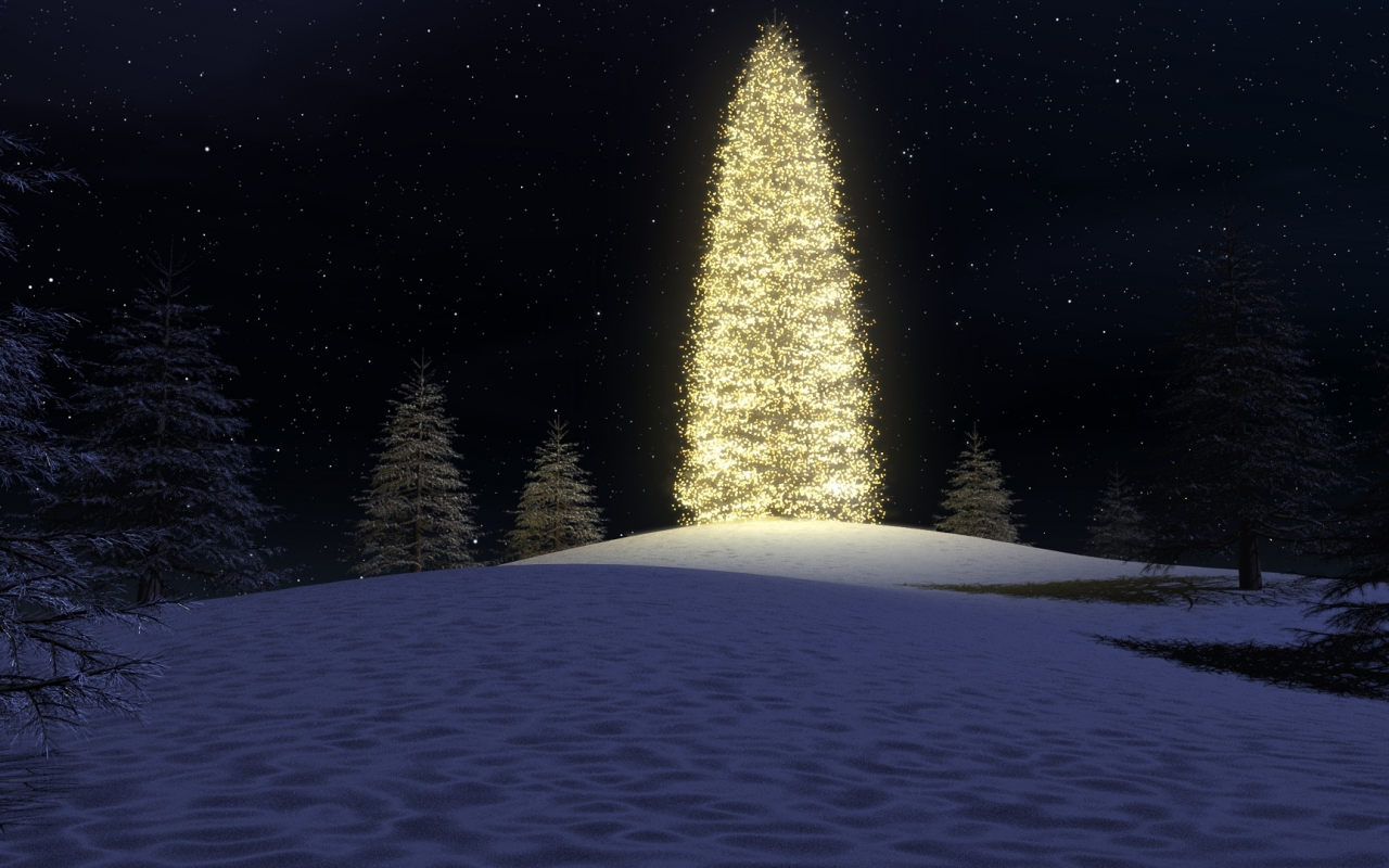 christmas tree, lights, forest, night