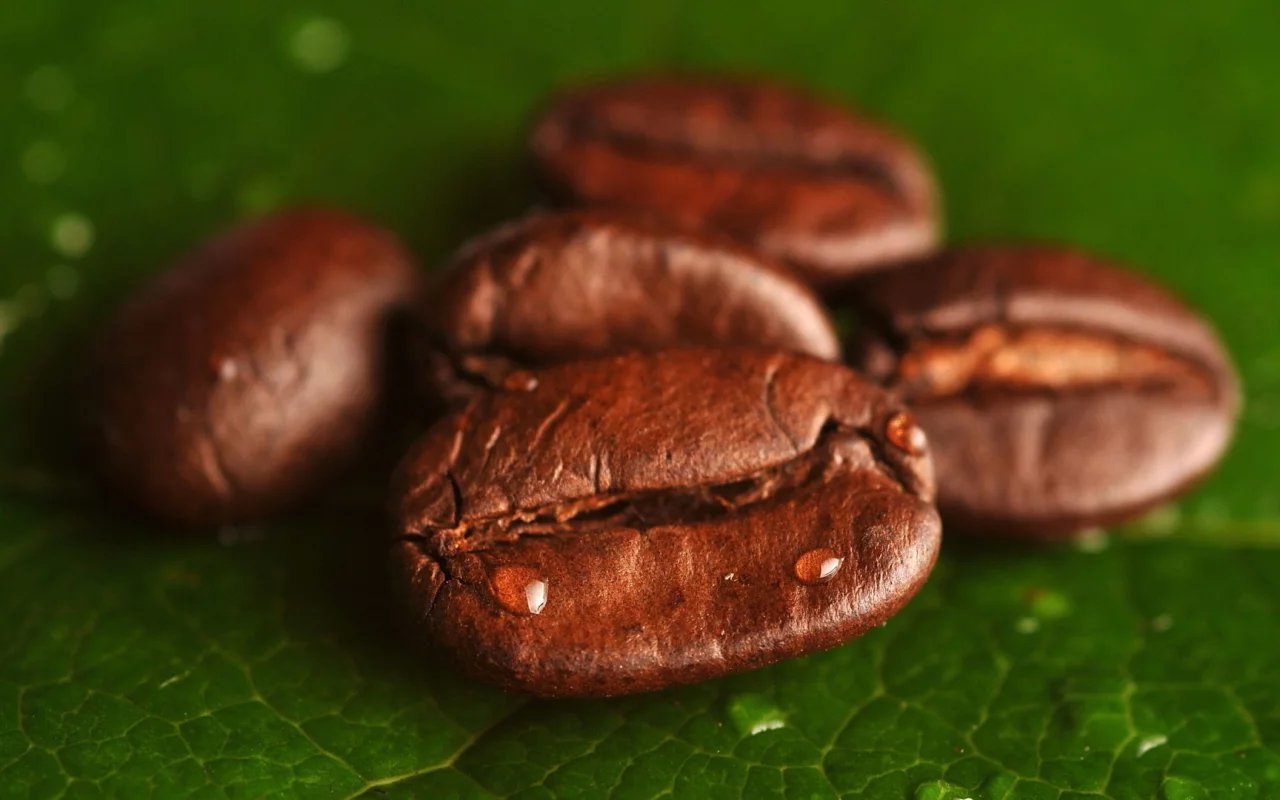grains, coffee, foliage, leaves