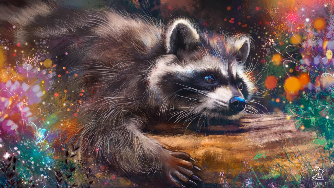 animal, raccoon, drawing
