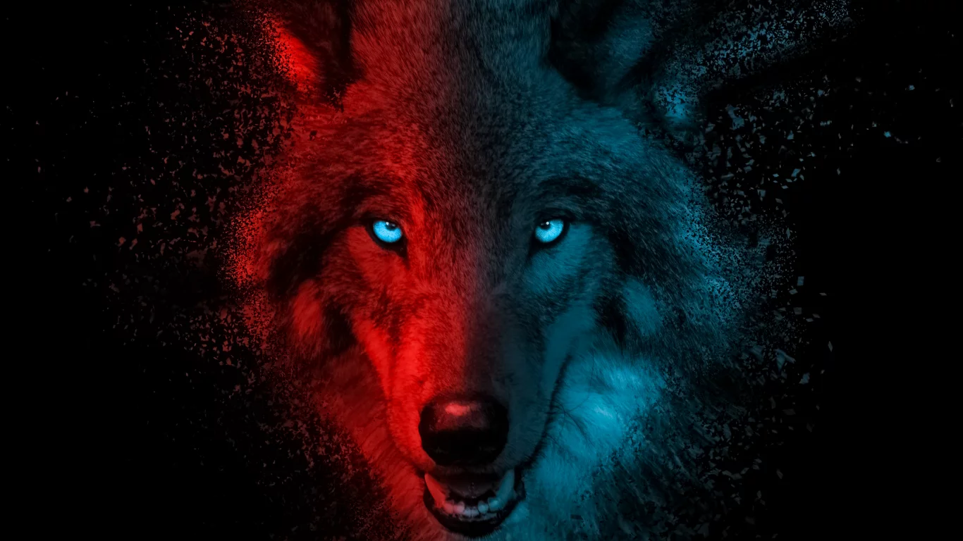 wolf, scary, gradient, dark, background