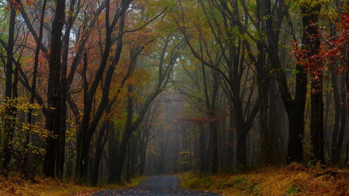 пейзаж, природа, красота