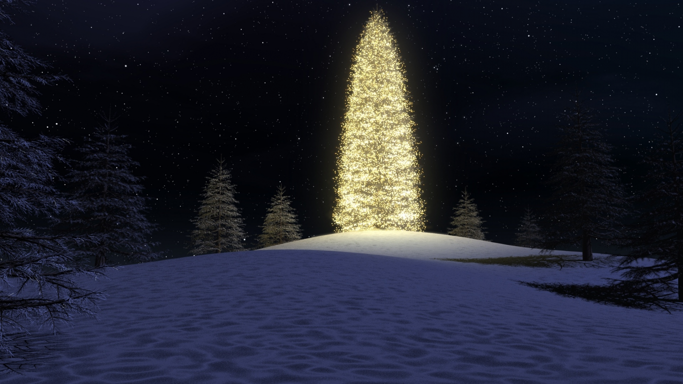 christmas tree, lights, forest, night