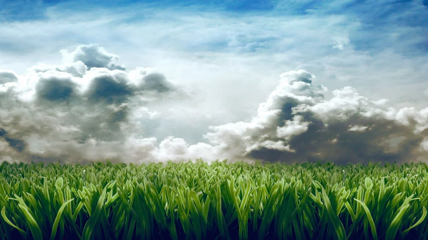 clouds, grass, digital art