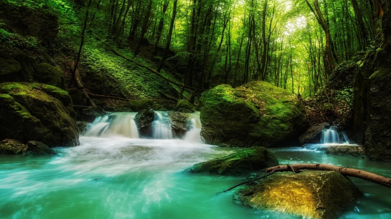 landscape, nature, waterfall, forest, rock, sunlight, green, water, trees, moss