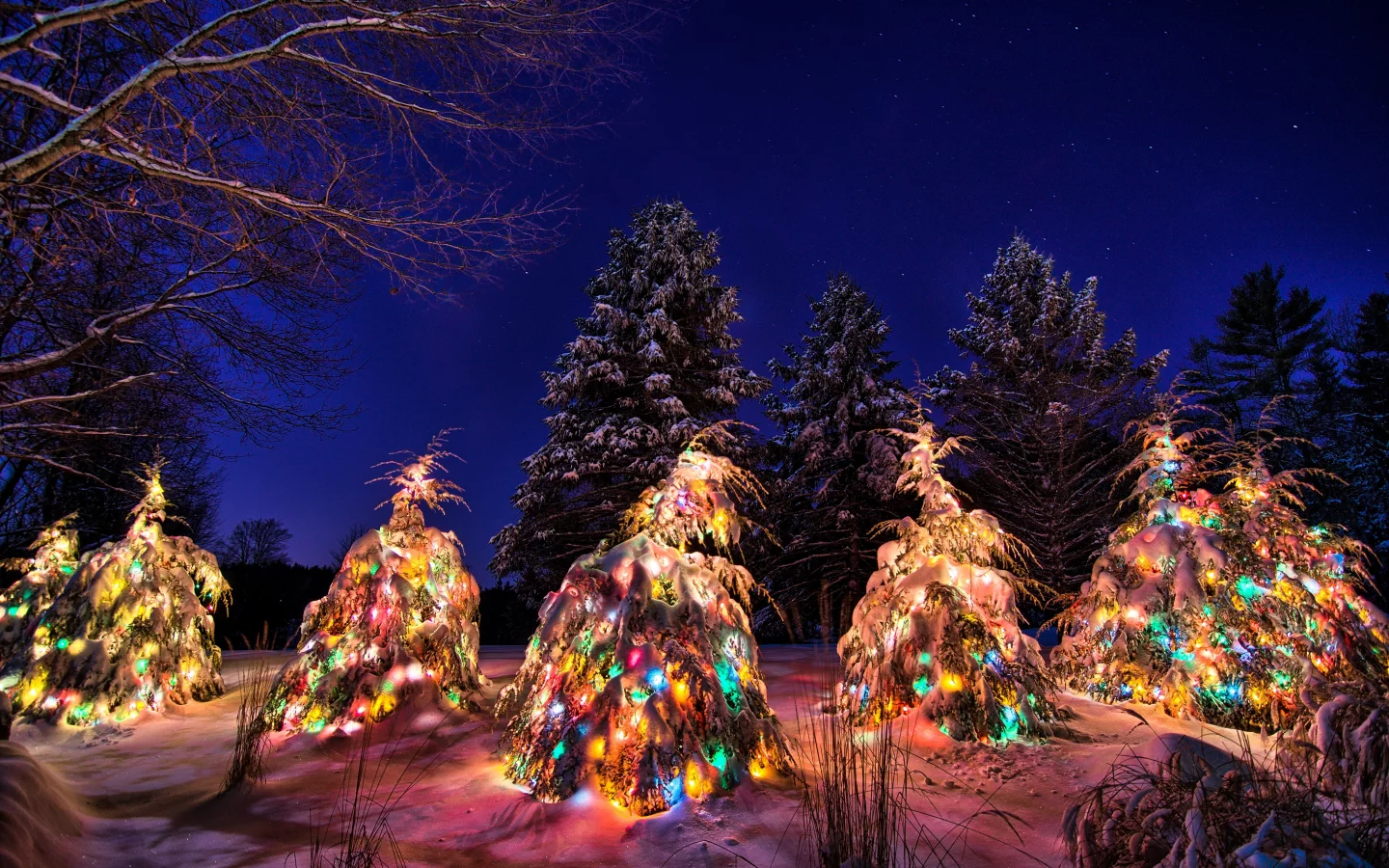 winter, new year, light, christmas tree, snow