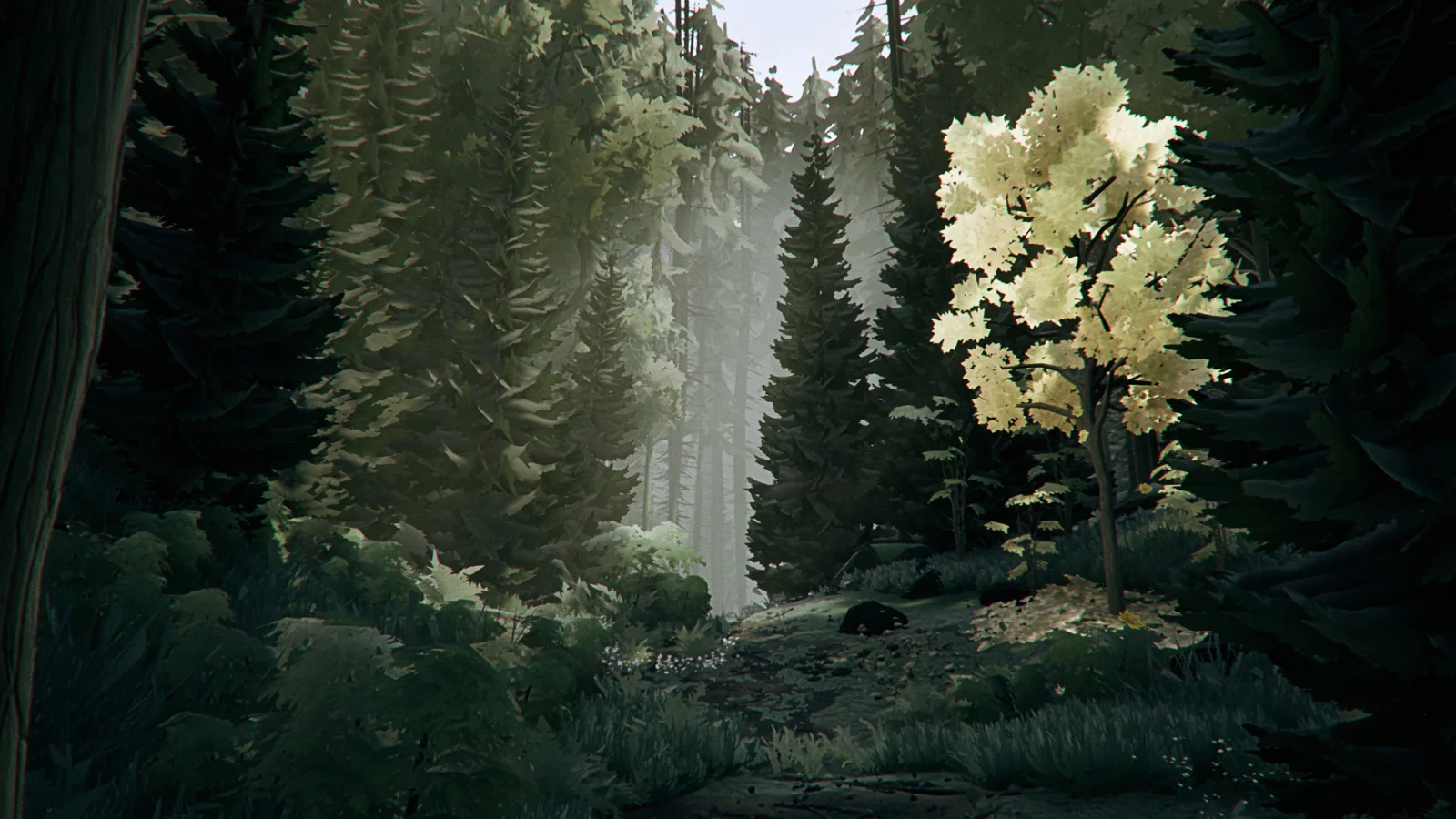 drawing, forest, nature, trees