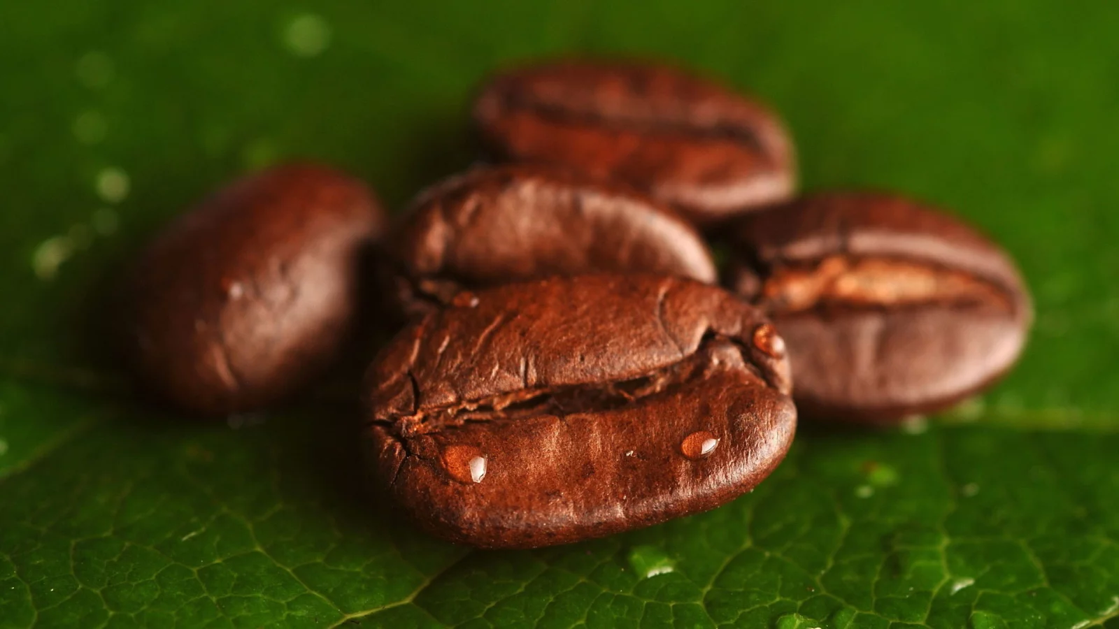 grains, coffee, foliage, leaves