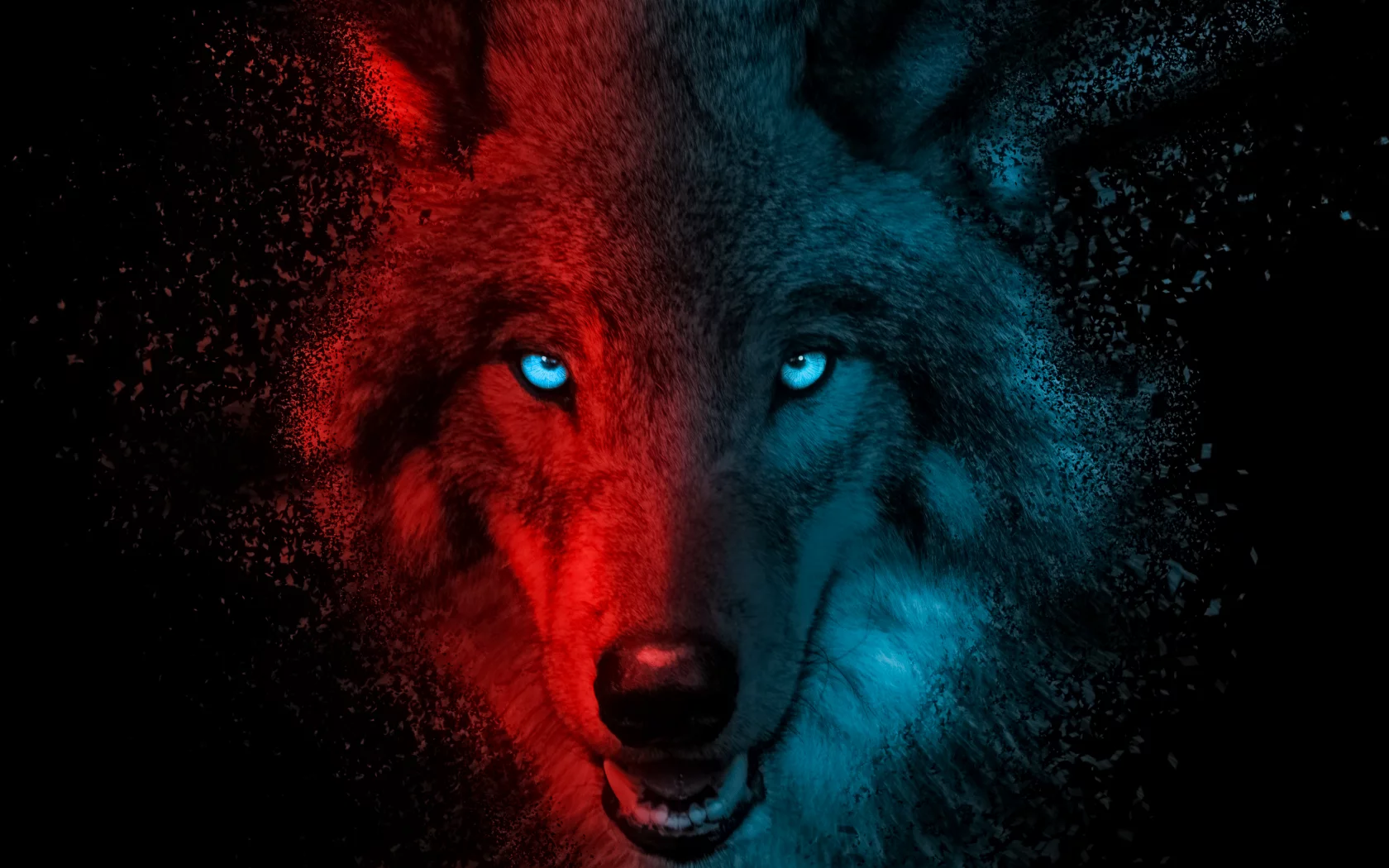 wolf, scary, gradient, dark, background