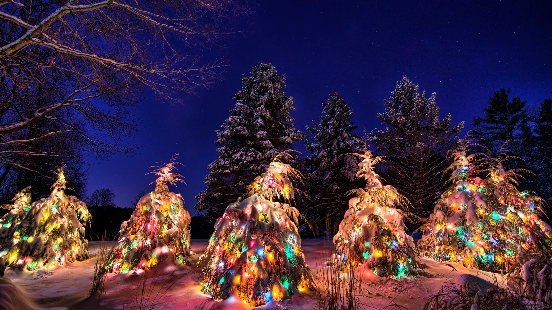 winter, new year, light, christmas tree, snow