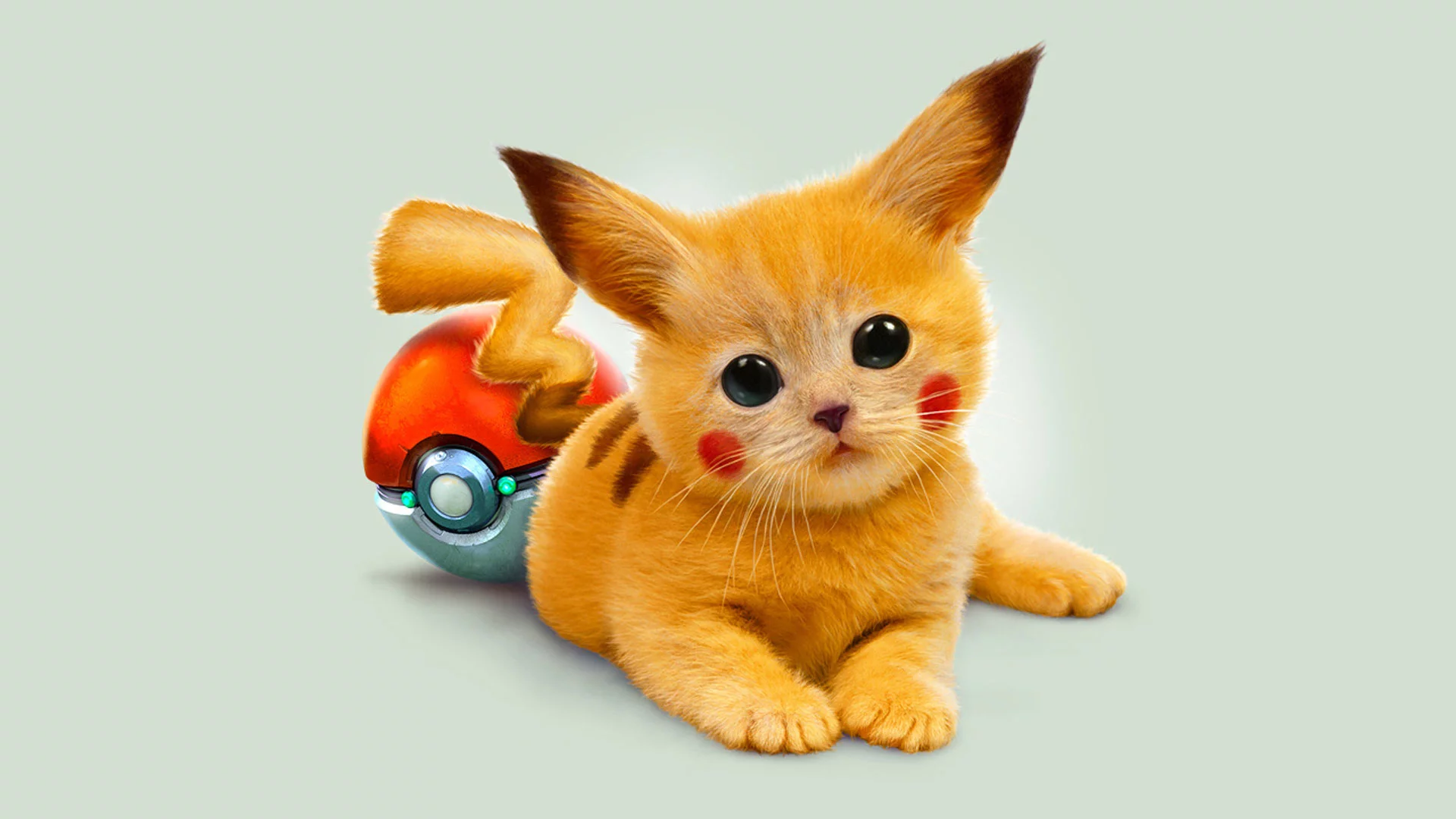 mozilla, kitten, pikachu, pokemon, earwig