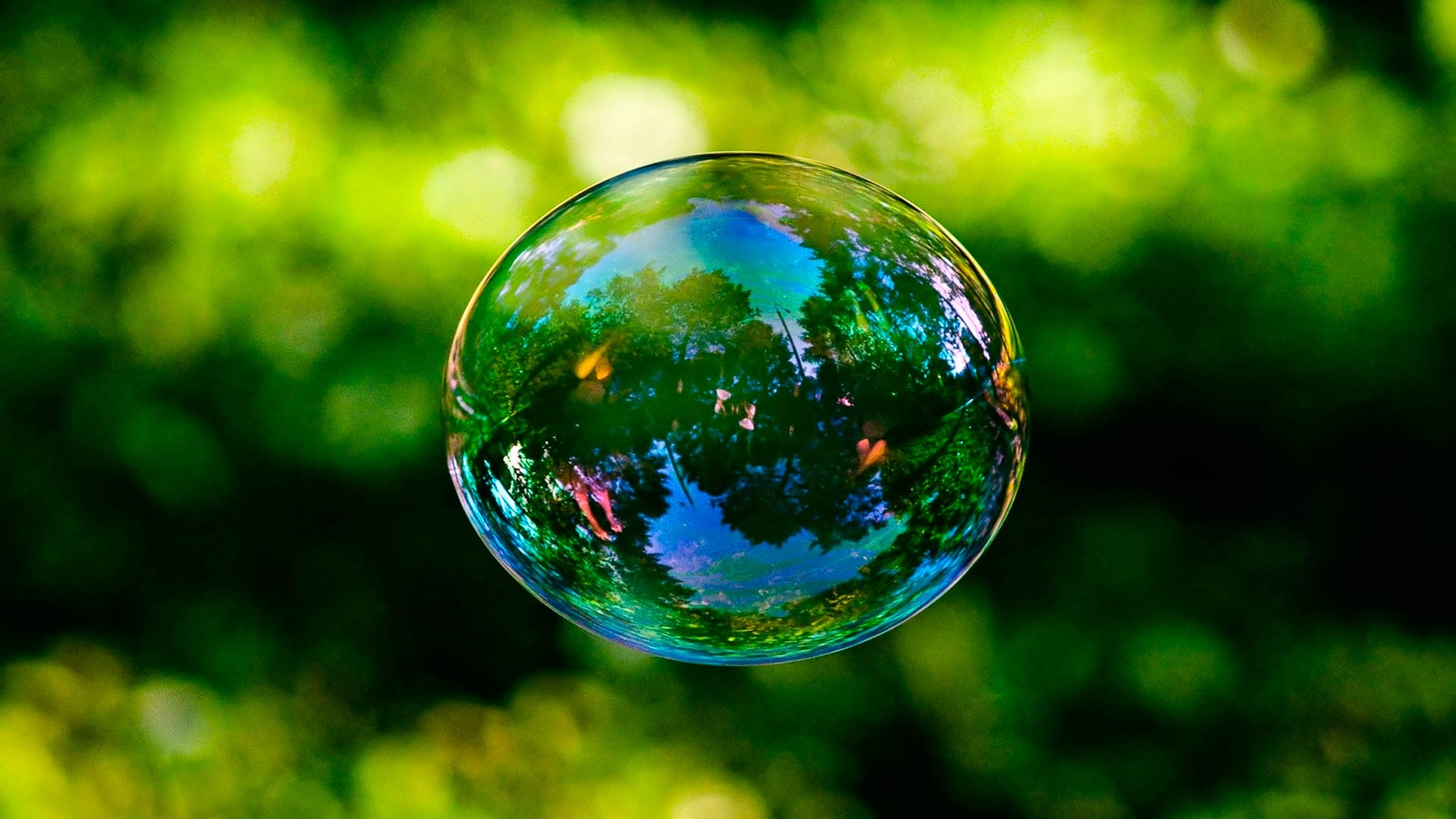 spring, frame, instant, soap, bubble, bright