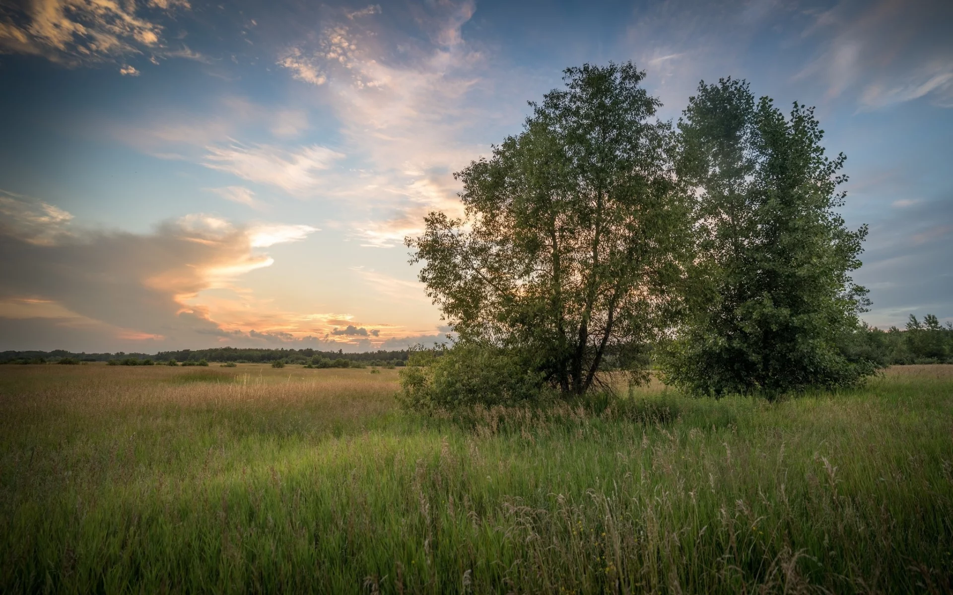 пейзаж, природа, красота