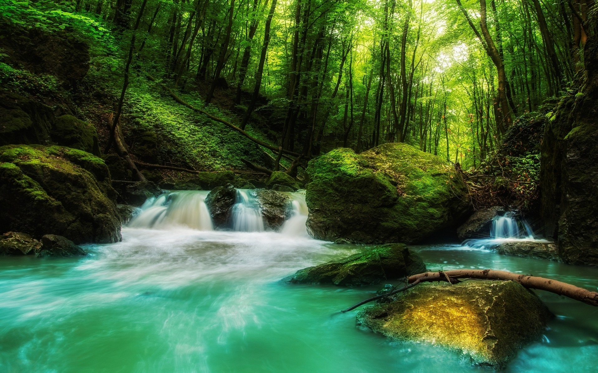 landscape, nature, waterfall, forest, rock, sunlight, green, water, trees, moss