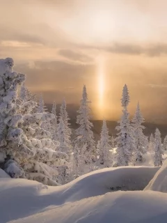 пейзаж, природа, красота