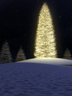 christmas tree, lights, forest, night