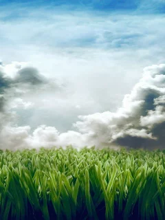 clouds, grass, digital art