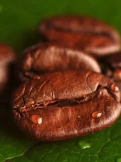 grains, coffee, foliage, leaves