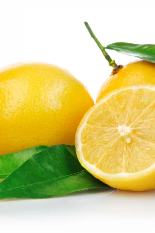 lemon, cut, leaf
