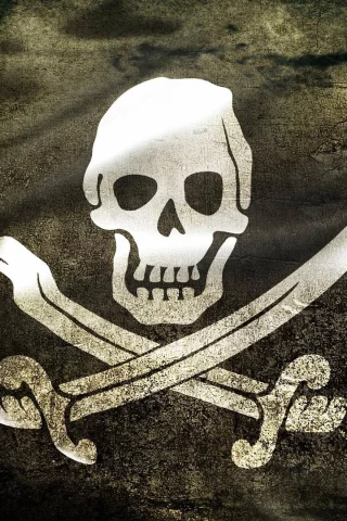 funny, bones, pirate, roger, sabers, symbolism, skeleton, flag, skull