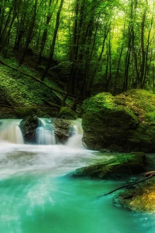 landscape, nature, waterfall, forest, rock, sunlight, green, water, trees, moss