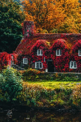 house, covered, trees, autumn, bridge, beautiful, old