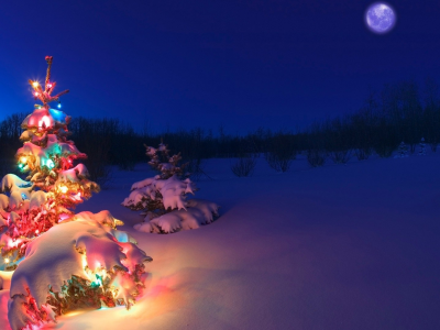 christmas tree, snow, christmas, lights