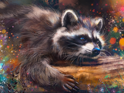 animal, raccoon, drawing