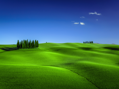 green, meadow, torrenieri, tuscany, italy, clear sky, landscape