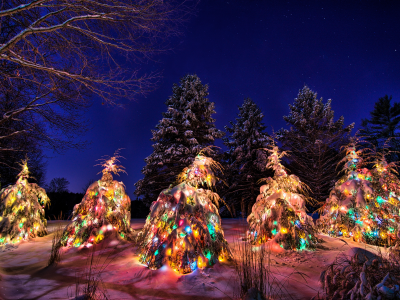 winter, new year, light, christmas tree, snow