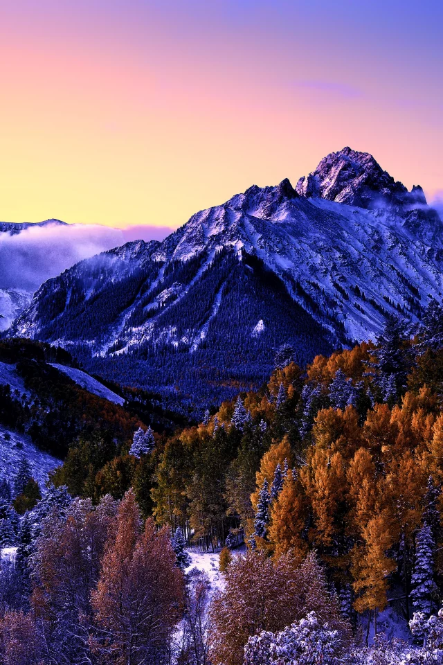 mount, sneffels, colorado, snow, covered, aspen, trees, fog, purple