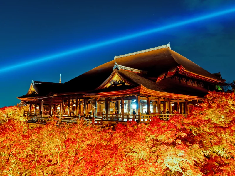 japan, evening, garden, building