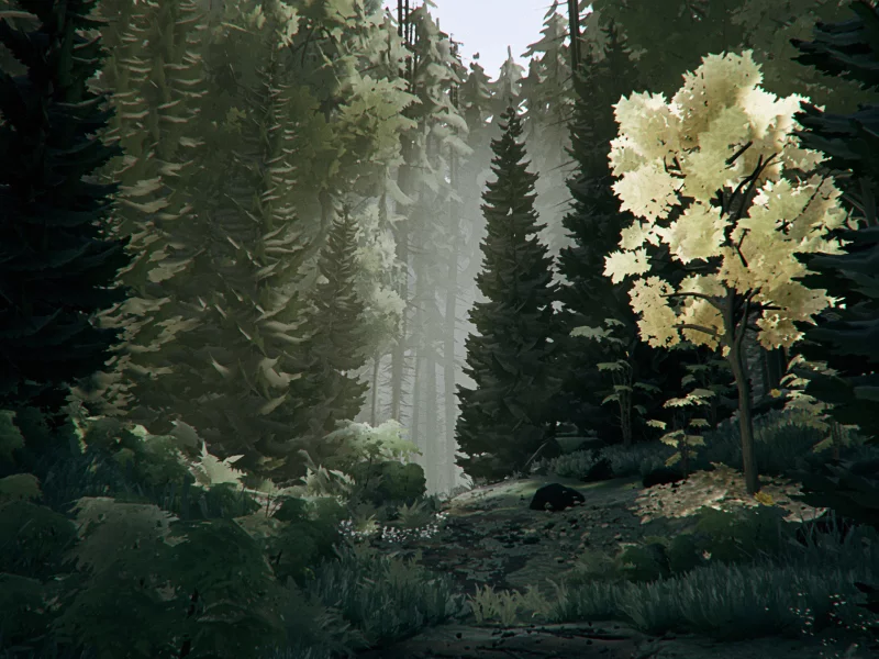 drawing, forest, nature, trees