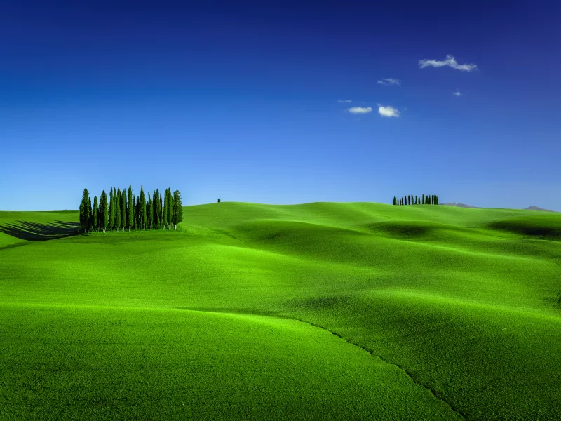 green, meadow, torrenieri, tuscany, italy, clear sky, landscape
