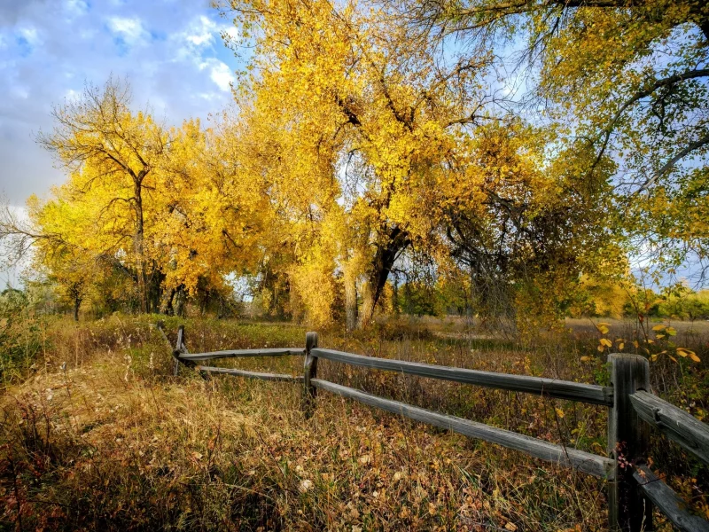пейзаж, природа, красота