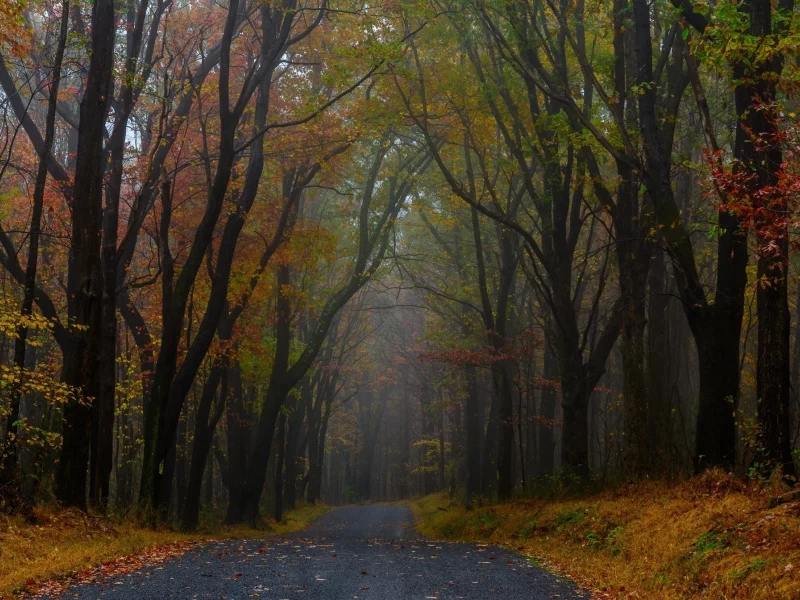 пейзаж, природа, красота