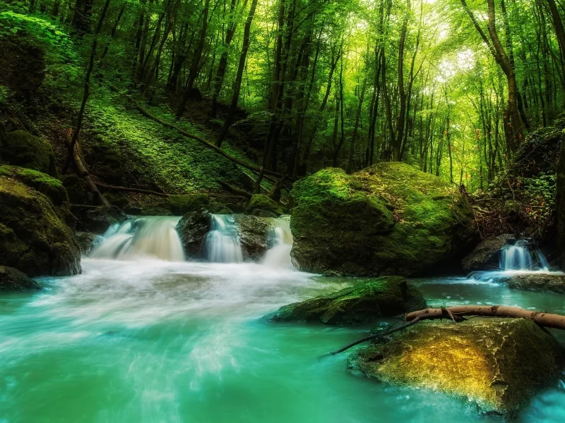 landscape, nature, waterfall, forest, rock, sunlight, green, water, trees, moss