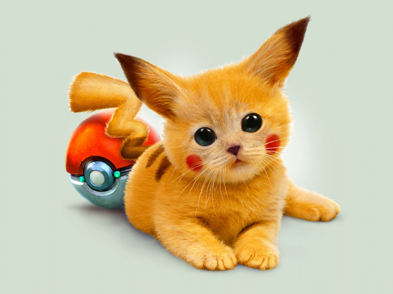 mozilla, kitten, pikachu, pokemon, earwig