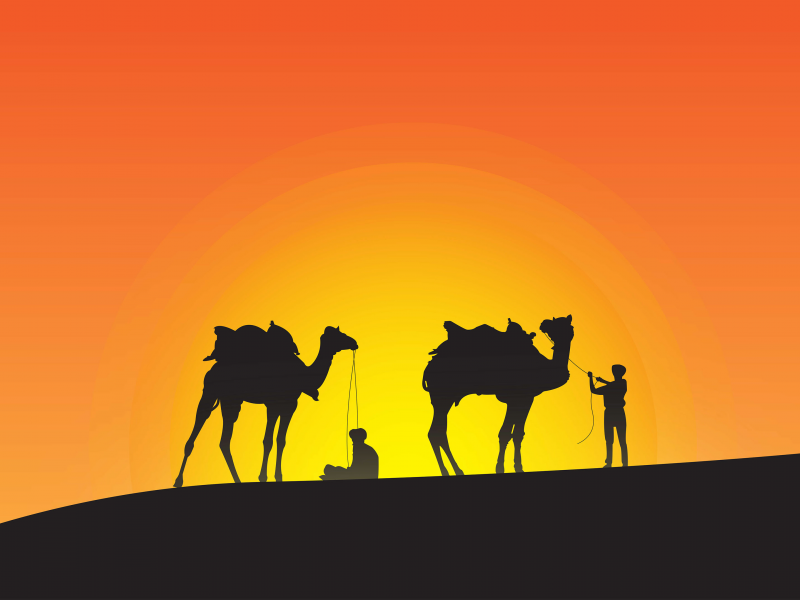 minimalism, desert, dune, camel, people