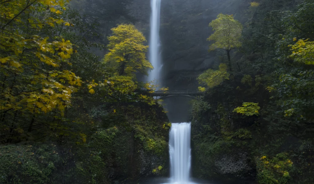 multnomah falls, oregon, forest, waterfalls, green, moss, rocks