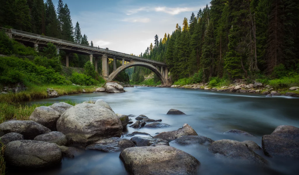 forest, river, river, bridge, states, america