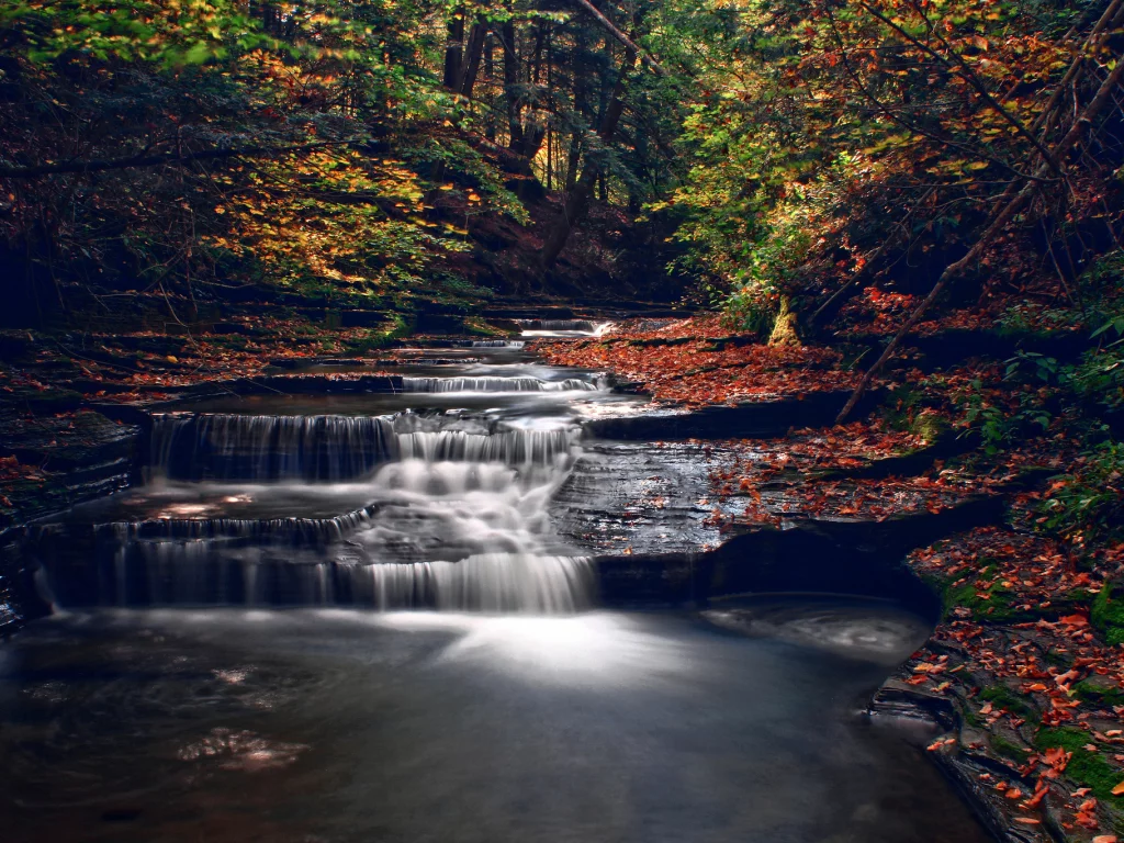 autumn, river, trees, forest, nature