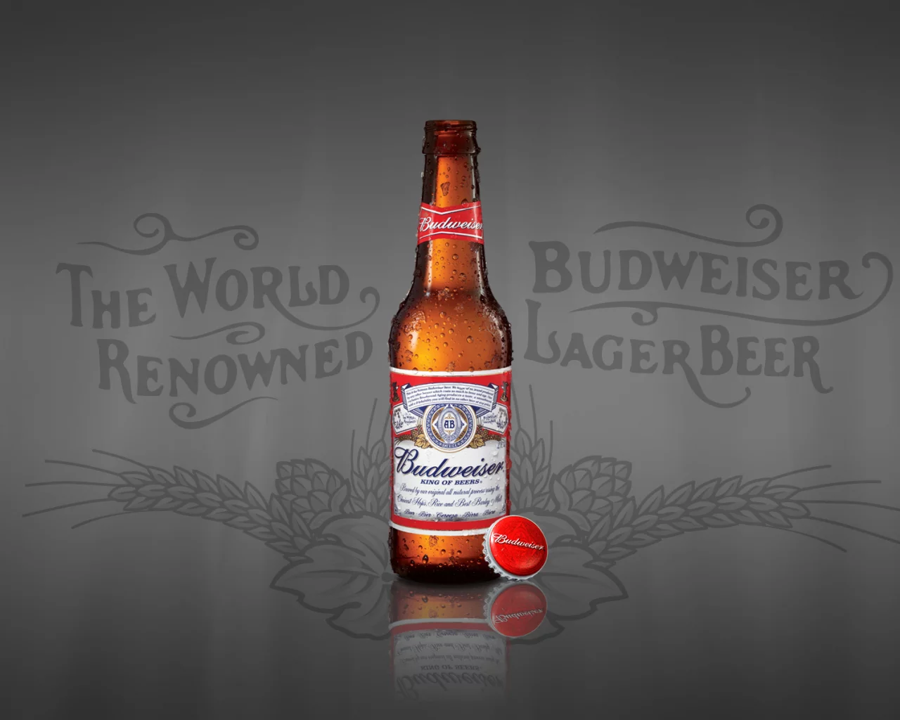 beer, budweiser, bottle